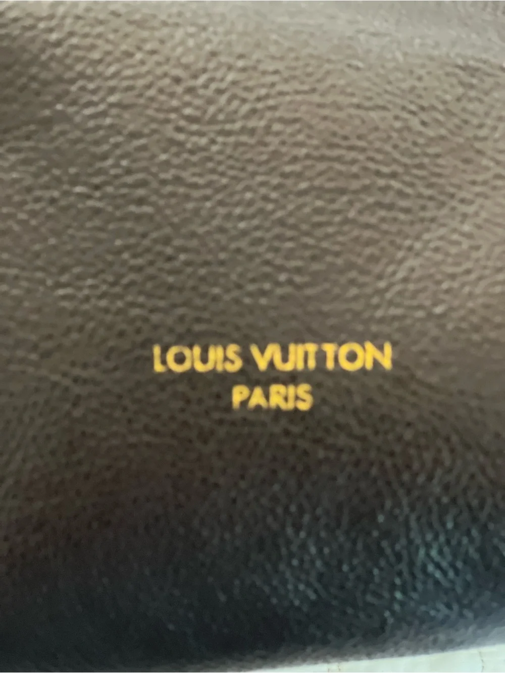 Louis Vuitton Express MM